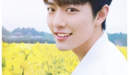 娱乐圈吃瓜明星代号肖战,娱乐圈神秘吃瓜明星的崛起之路