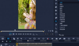 外国视频软件,探索内容创新与传播趋势