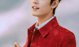 娱乐圈吃瓜明星代号肖战,娱乐圈神秘吃瓜明星的崛起之路